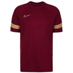 Nike Academy 21 Dry Trainingsshirt Herren