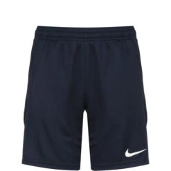 Nike Park 20 Trainingsshorts Kinder